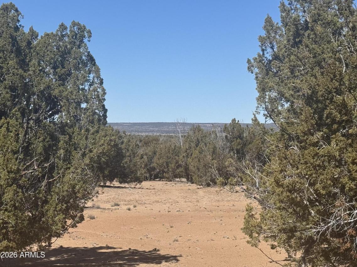 Lot 52 Witch Well Ranchos #52, St Johns, AZ 85936