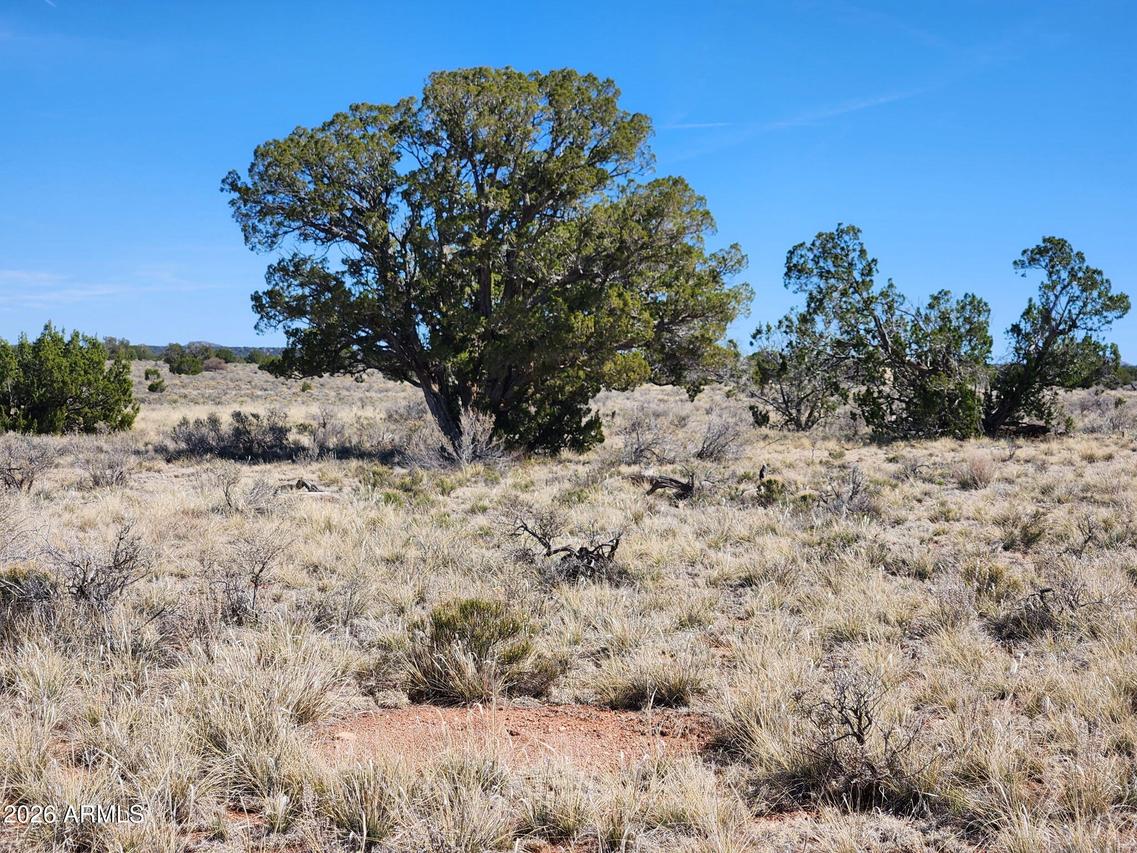 721 S Wyandotte Rd. #243, Williams, AZ 86046
