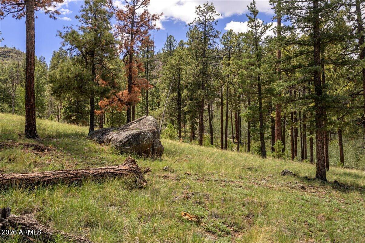 14 County Road N1062 #15, Greer, AZ 85927