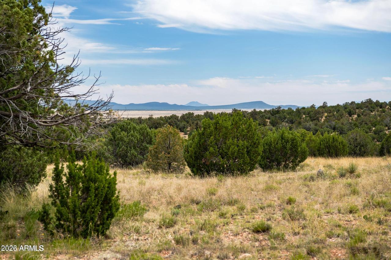 000-B Pine Ridge Trail Rd #50, Seligman, AZ 86337