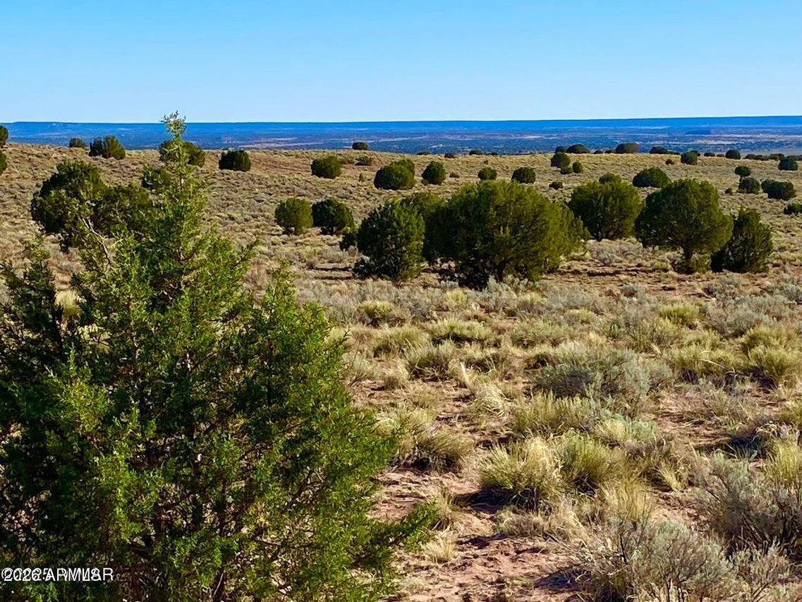 River Meadows Ranch Unit 3 Lot 204 #-, Concho, AZ 85924