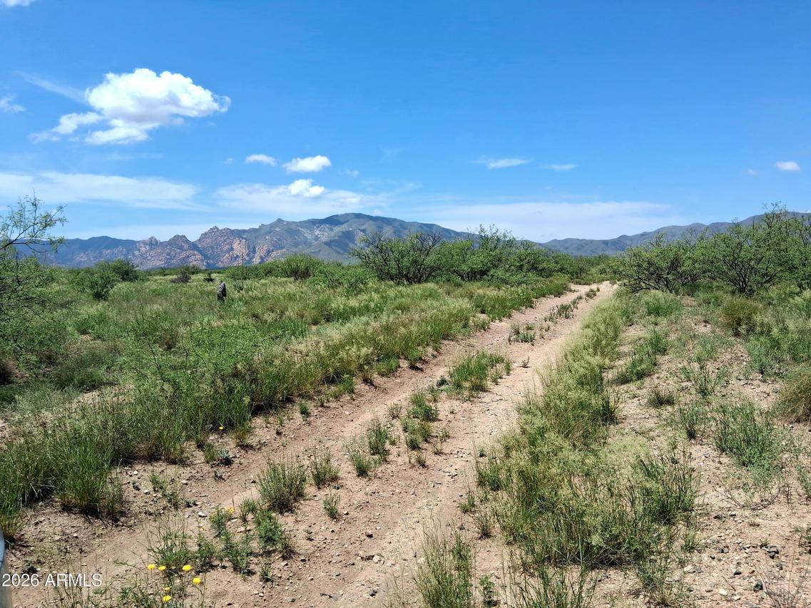 LOT 10 Oracle #10, Cochise, AZ 85606