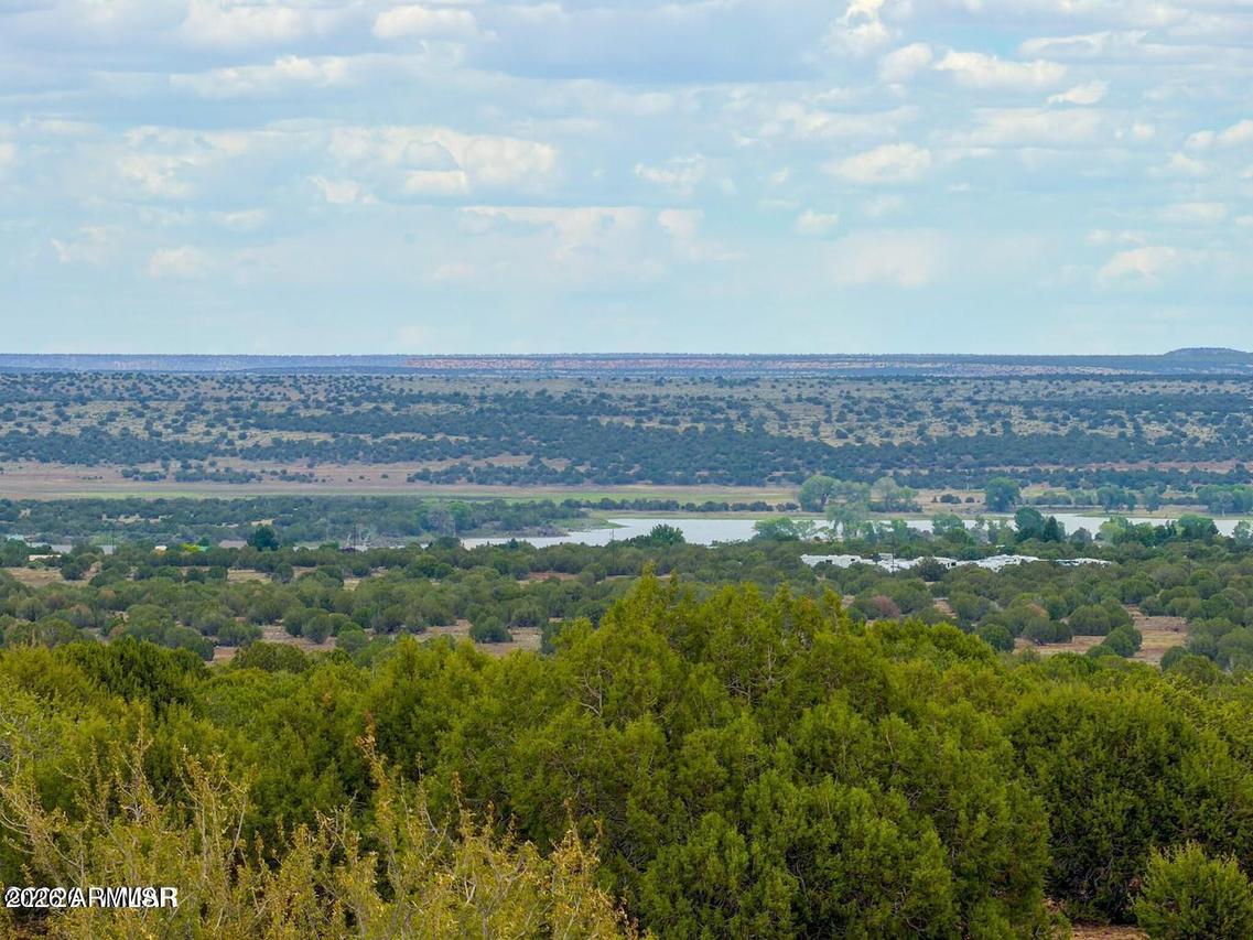 8063 Mustang Ln 10 Acres #-, Show Low, AZ 85901