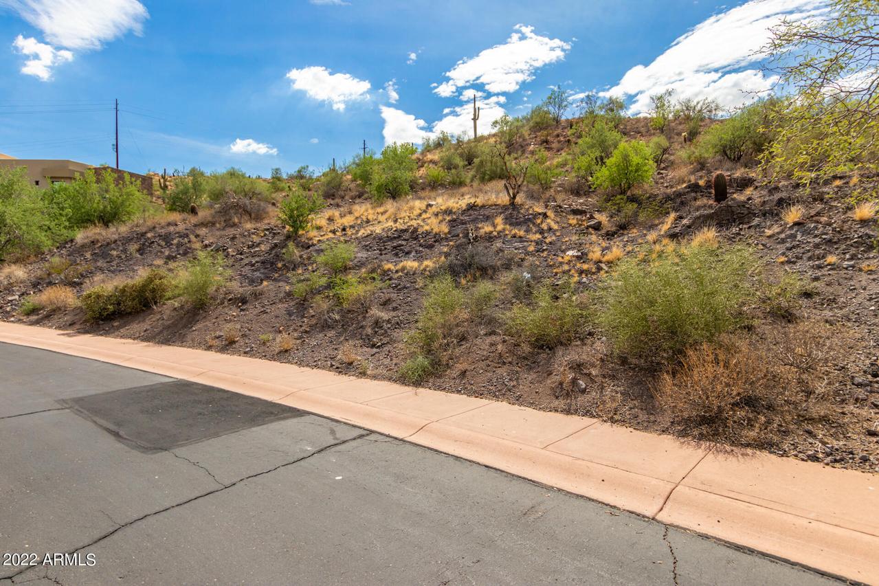 9130 N Lava Bluff Tr. #14, Fountain Hills, AZ 85268