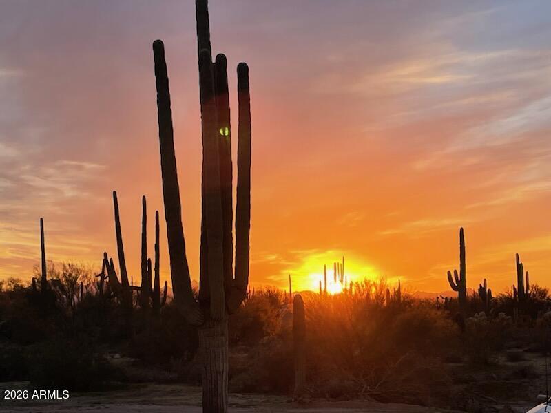0000 Sandra #-, Marana, AZ 85658