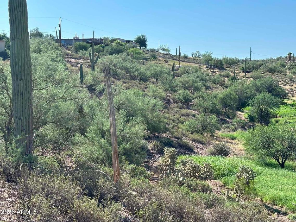 209 N Elizabeth St. #103, Gold Canyon, AZ 85118