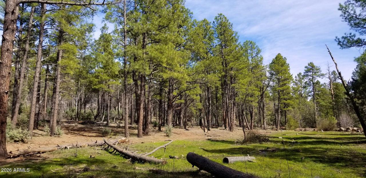 2259 E T Bear Tr. #'-', Lakeside, AZ 85929