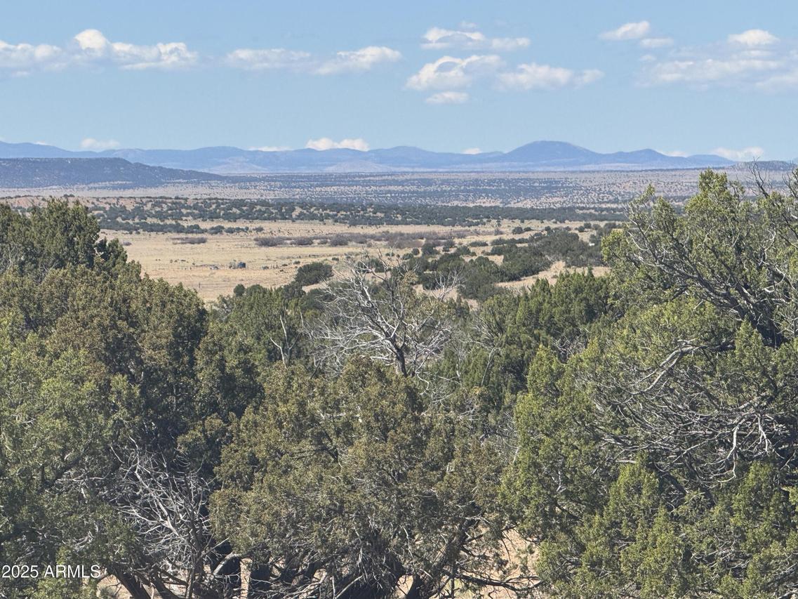 Lot 752 Woodland Valley Ranch #752, St Johns, AZ 85936