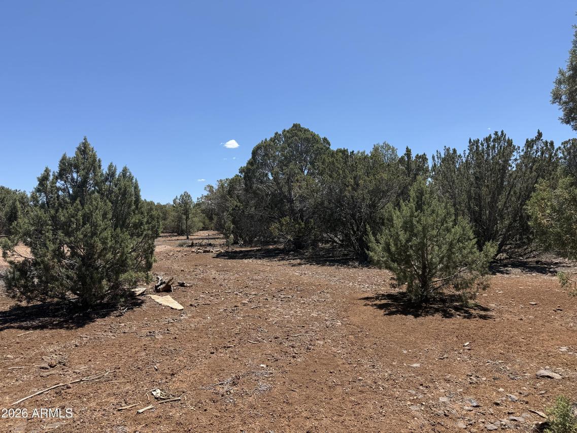 1886 White Tail Pl. #13-14, Show Low, AZ 85901