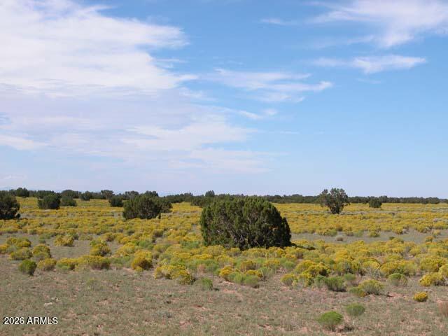 206-10-409 Bar Nothing Ranch Rd. #-, Chambers, AZ 86502