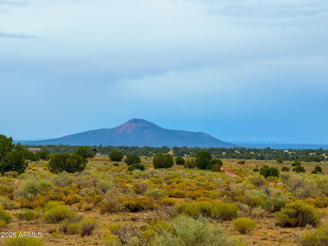 2028 S Avondale Rd. #142, Williams, AZ 86046