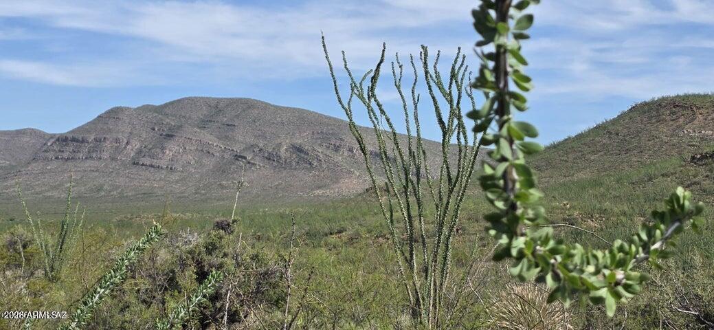 TBD E Windmill Rd. #-, Tombstone, AZ 85638