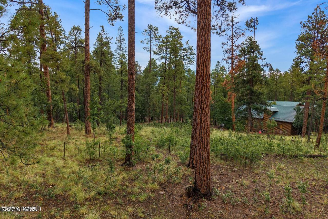 8 County Road 2070 #137, Alpine, AZ 85920