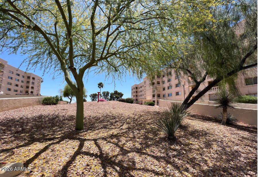 7910 E Camelback Rd. #110, Scottsdale, AZ 85251