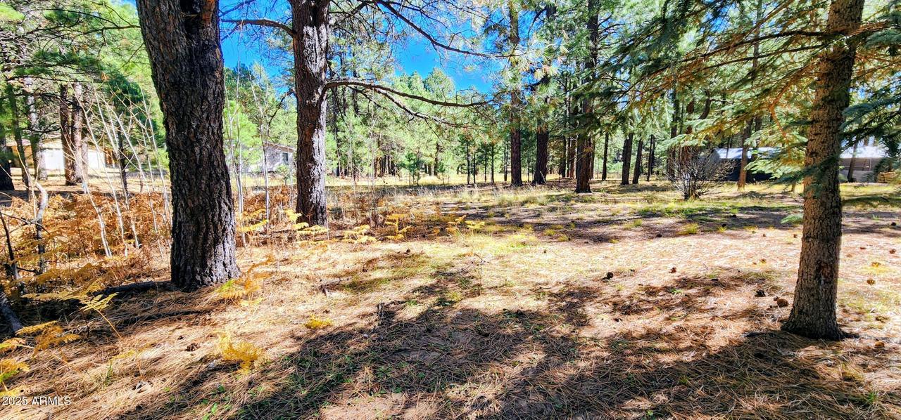 1958 Ferret Cir. #260, Forest Lakes, AZ 85931
