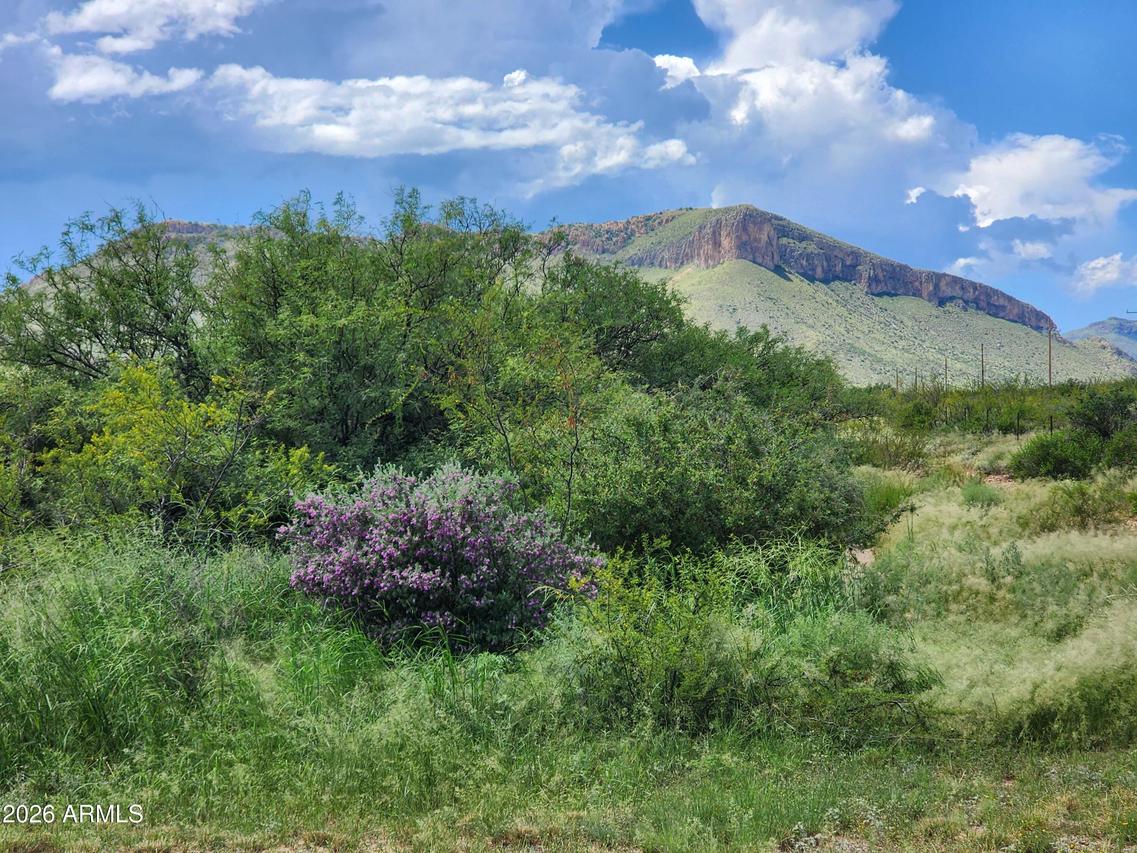 lot 5 E Highway 82 #2, Huachuca City, AZ 85616