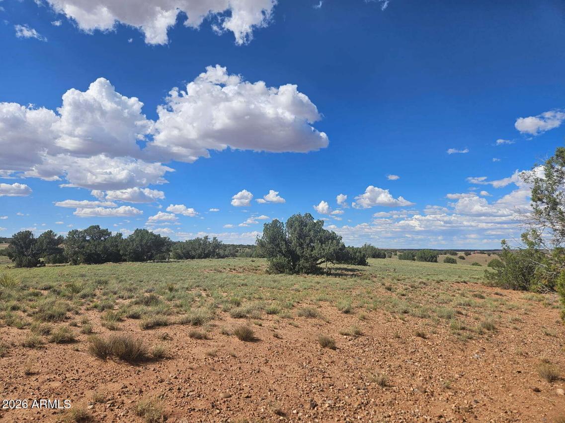 144 N County Road 9027 #47, Concho, AZ 85924