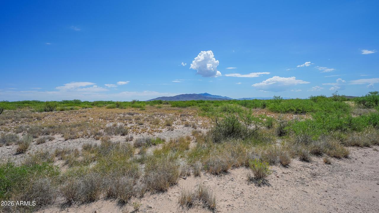 165 N Blue Jay Rd., Willcox, AZ 85643