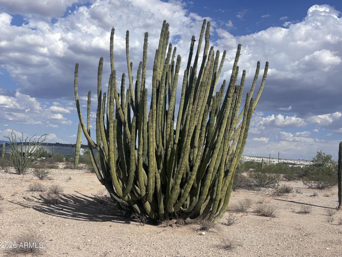 810 W Rasmussen Rd. #'-', Ajo, AZ 85321