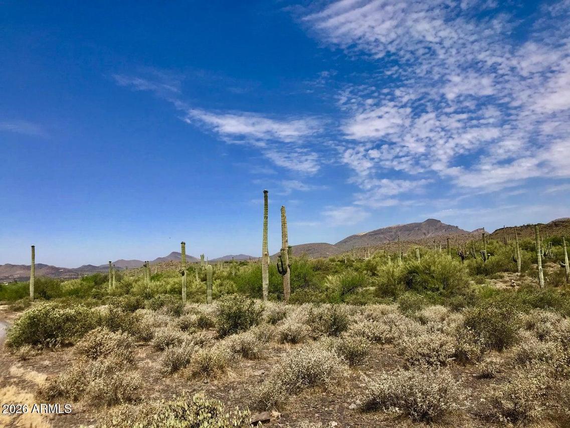 42023 N 72nd St. #-, Cave Creek, AZ 85331