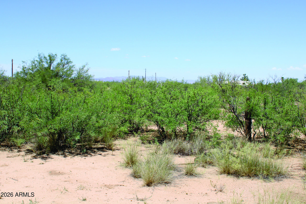 5 Acres E Papago Way #310, Cochise, AZ 85606