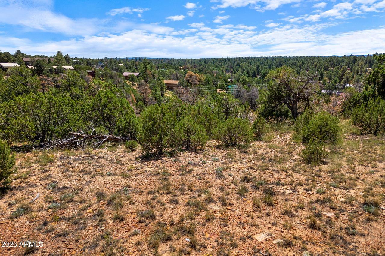 3620 Zane Grey Tr. #42, Overgaard, AZ 85933