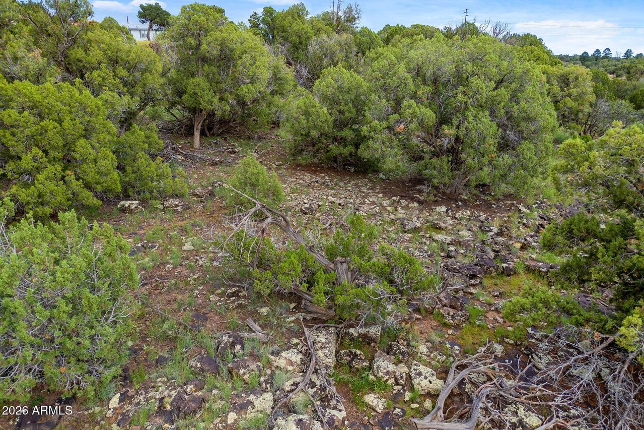 8281 &8283 Ridge Dr. #11, Show Low, AZ 85901