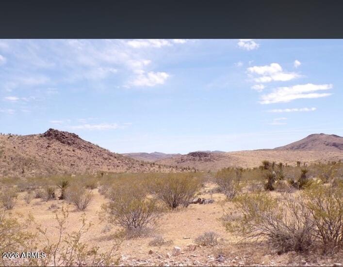 Unassigned #55, Dolan Springs, AZ 86441