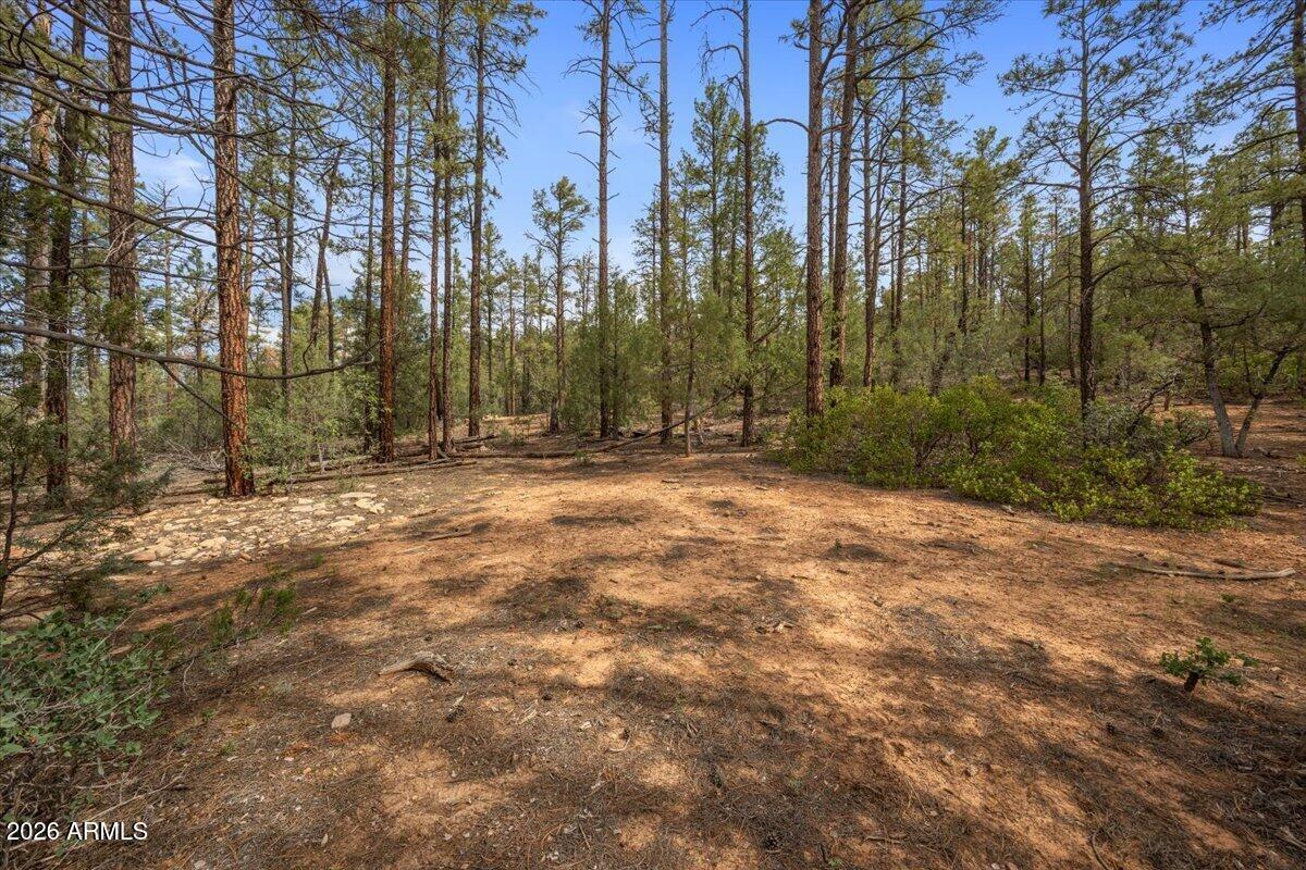 TBD Pine Needle Dr. #-, Show Low, AZ 85901