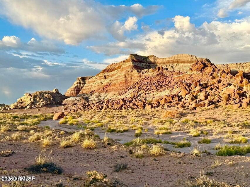 8983 Down Under Rd 38.82 Acres #-, Holbrook, AZ 86025