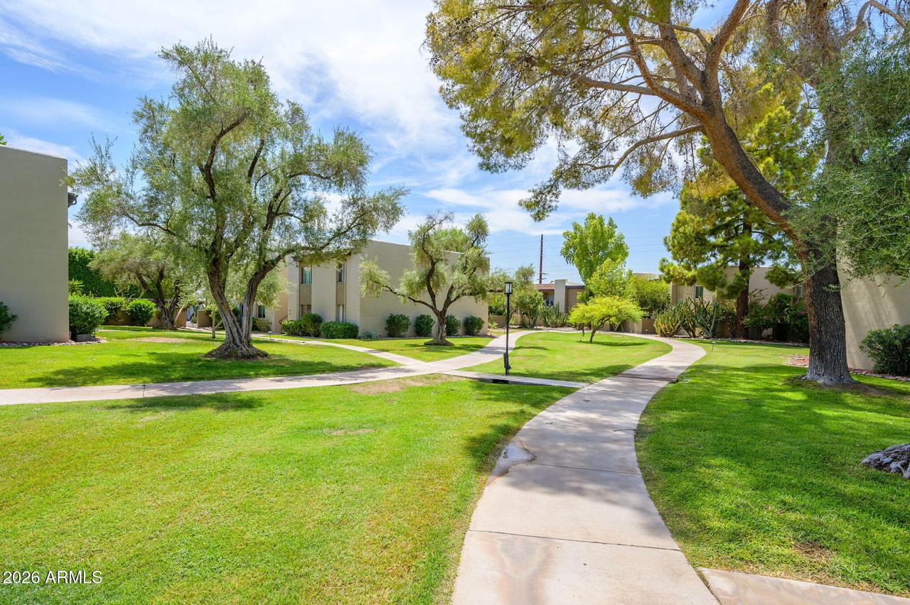 4201 E Camelback Rd. #31, Phoenix, AZ 85018