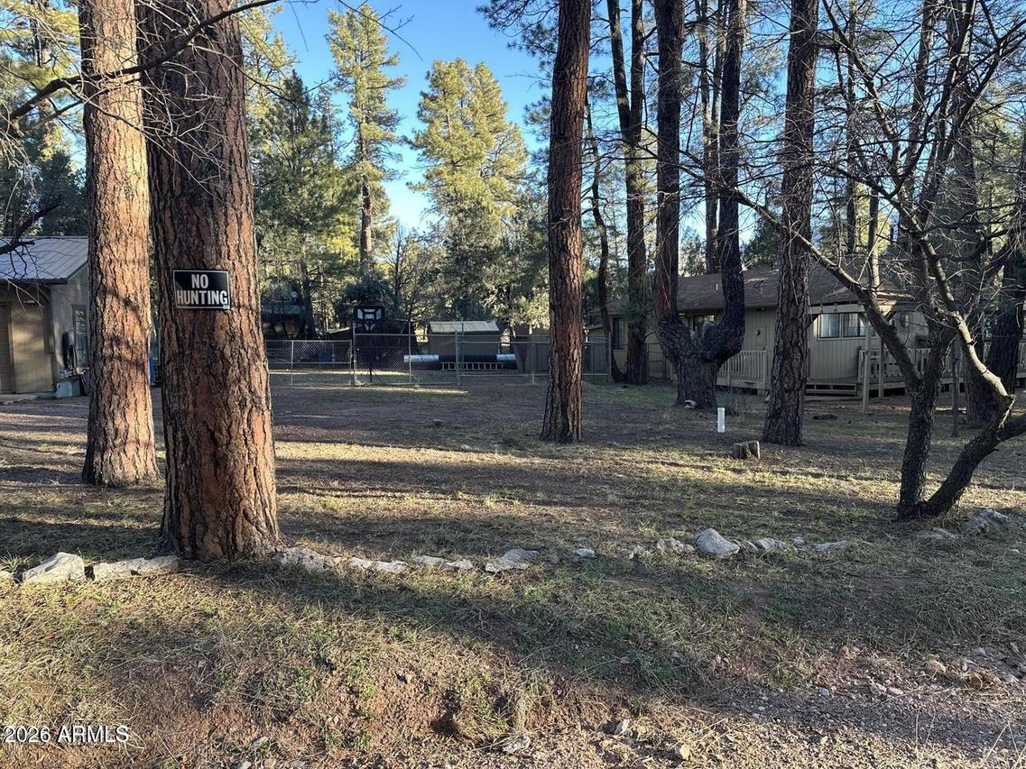 6384 W Jan Dr., Pine, AZ 85544