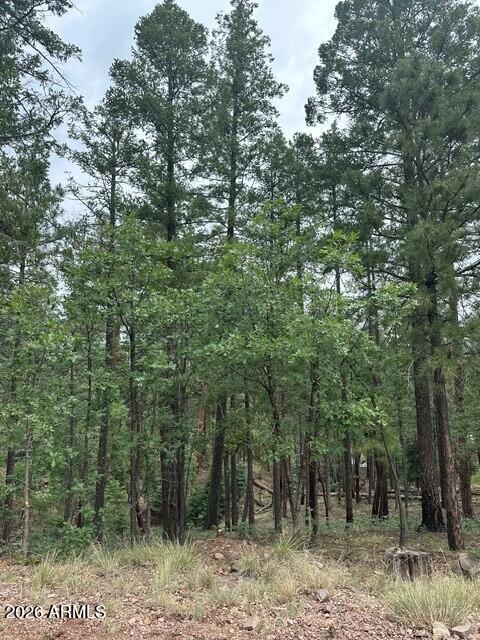 15 N Buttermilk Ln. #52, Alpine, AZ 85920