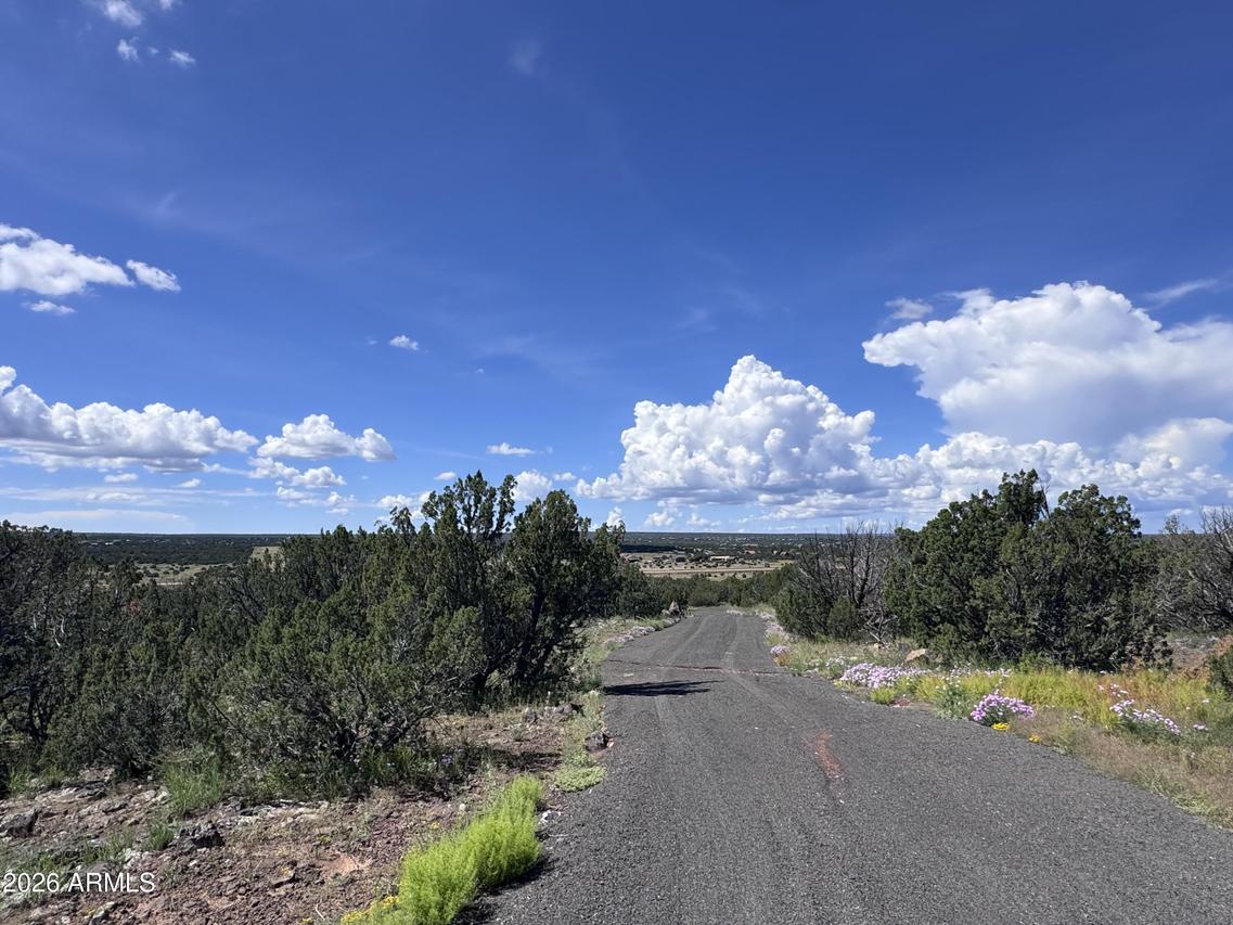 1939 Bourdon Ranch Rd. #-, Show Low, AZ 85901