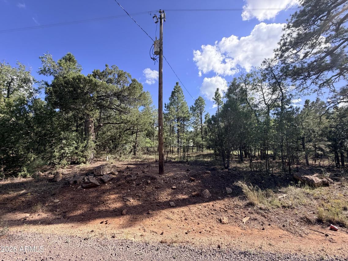 5808 Pine Needle Dr. #225, Happy Jack, AZ 86024