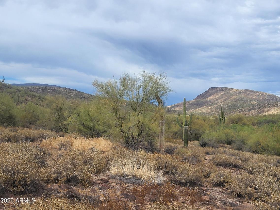 440XX N 24th St. #-, New River, AZ 85087