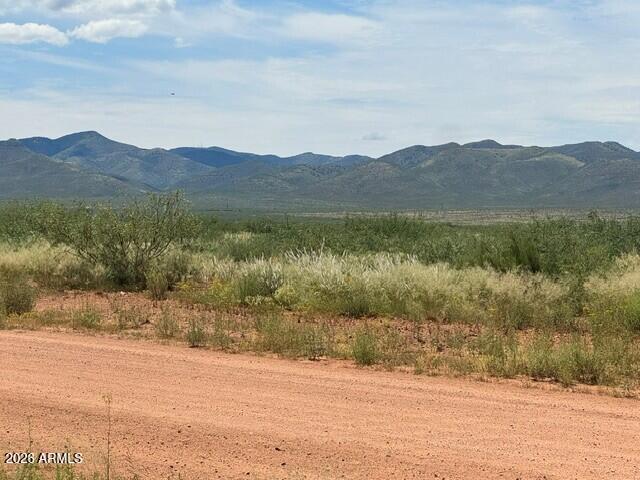 TBD 11145118 #44, Elfrida, AZ 85610
