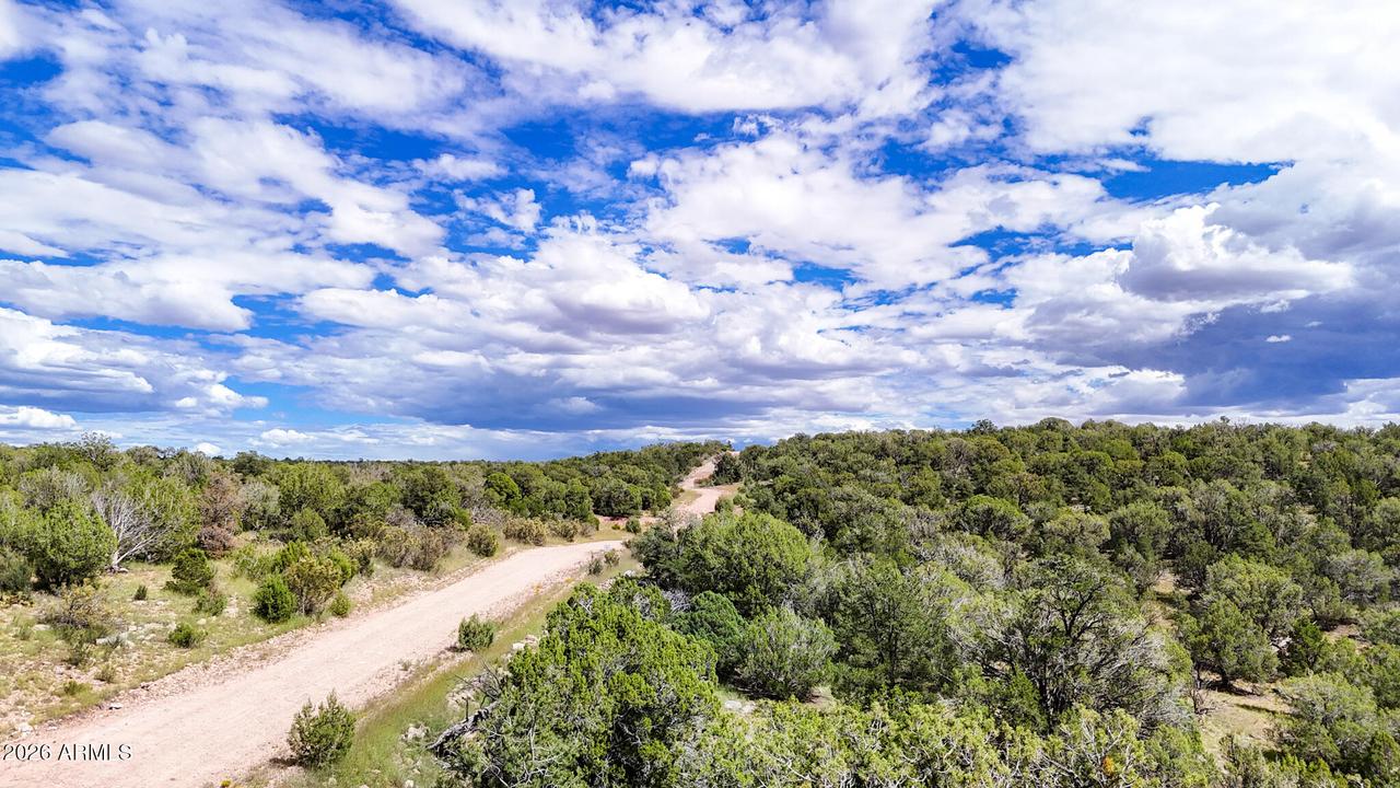 W Elkhorn Pass 36 Acres #-, Seligman, AZ 86337