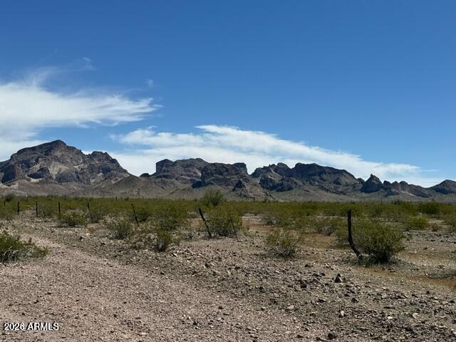 490 W Van Buren St. #63, Tonopah, AZ 85354