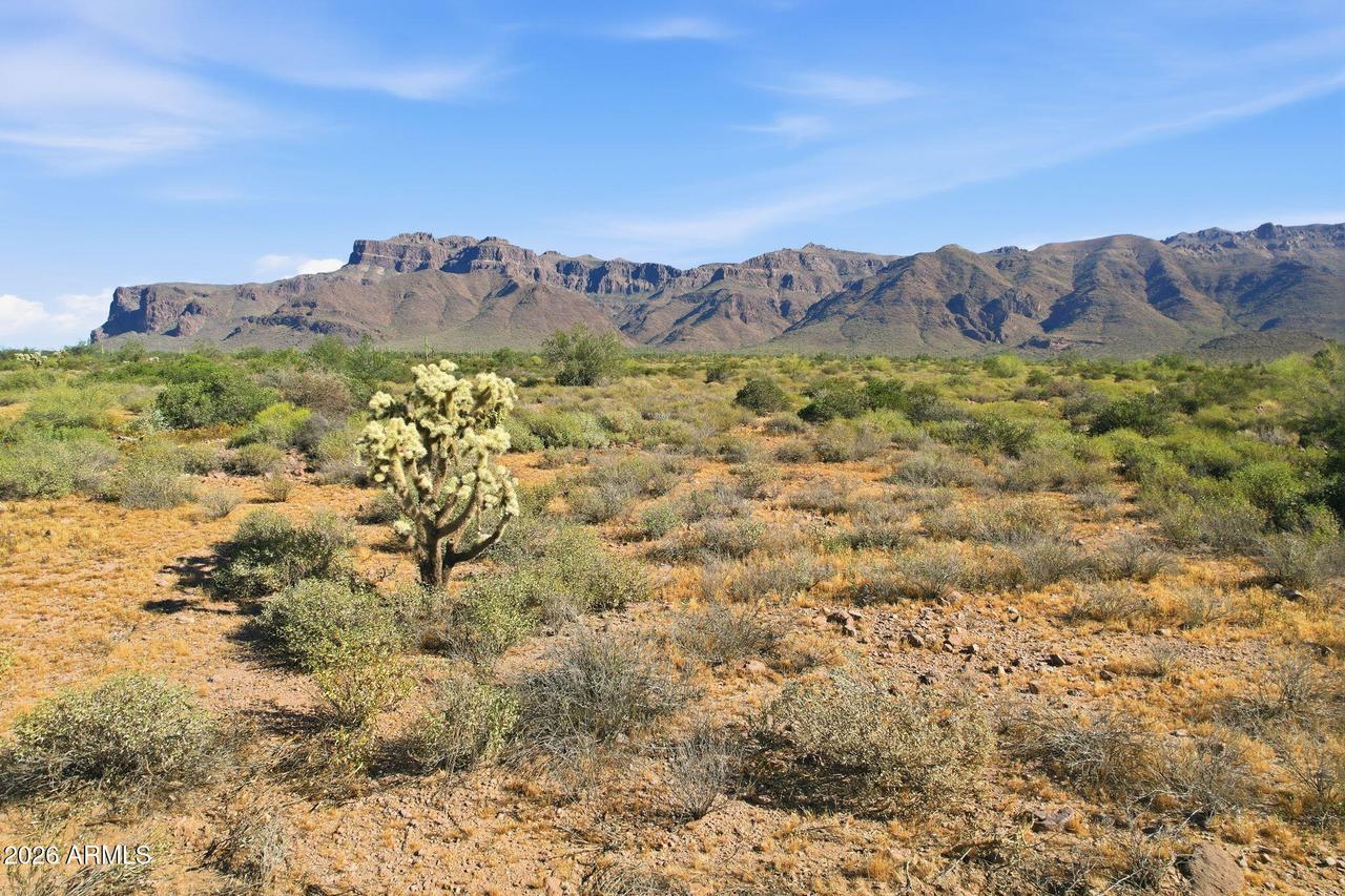 Graysen #4, Gold Canyon, AZ 85118