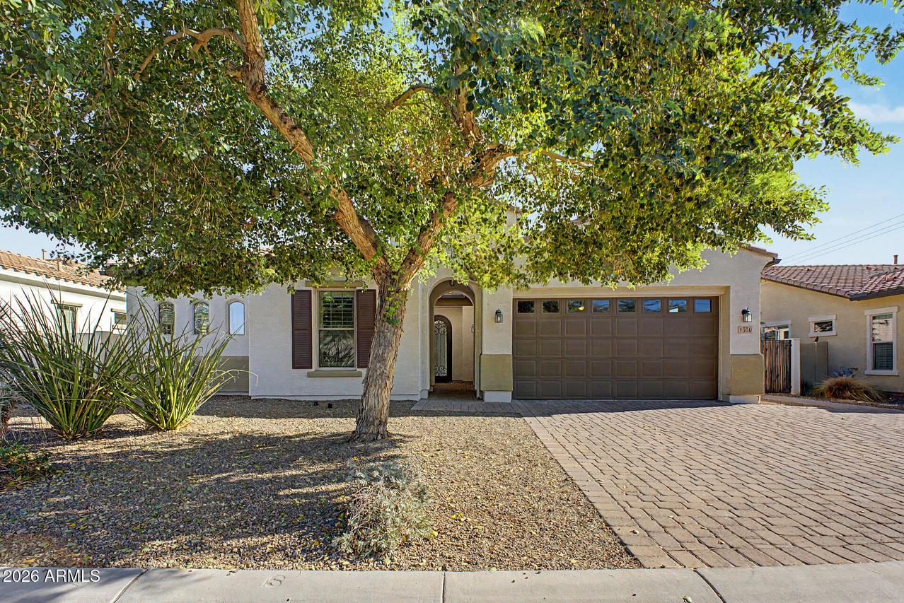 1559 W Sea Fog Dr., Gilbert, AZ 85233