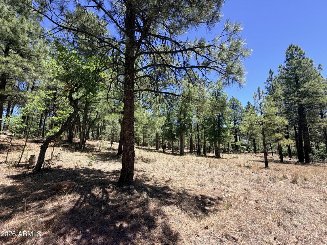 4215 Apache Dr. #428, Happy Jack, AZ 86024