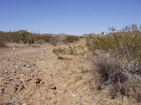 34260 W Avenida Risco #5086, Seligman, AZ 86337