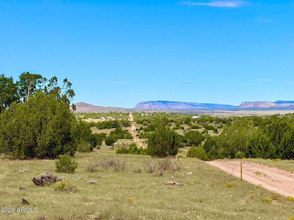 Dusty Rose Ranch  Lot A 16 Acr #-, Seligman, AZ 86337