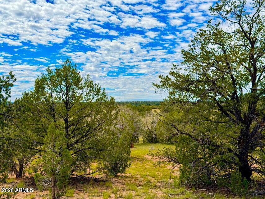 Dusty Rose Ranch Lot C 12 Acre #-, Seligman, AZ 86337