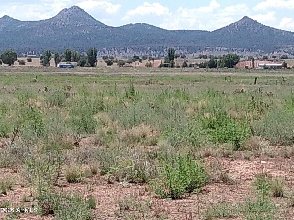 26250 N Champagne Ln. #-, Paulden, AZ 86334