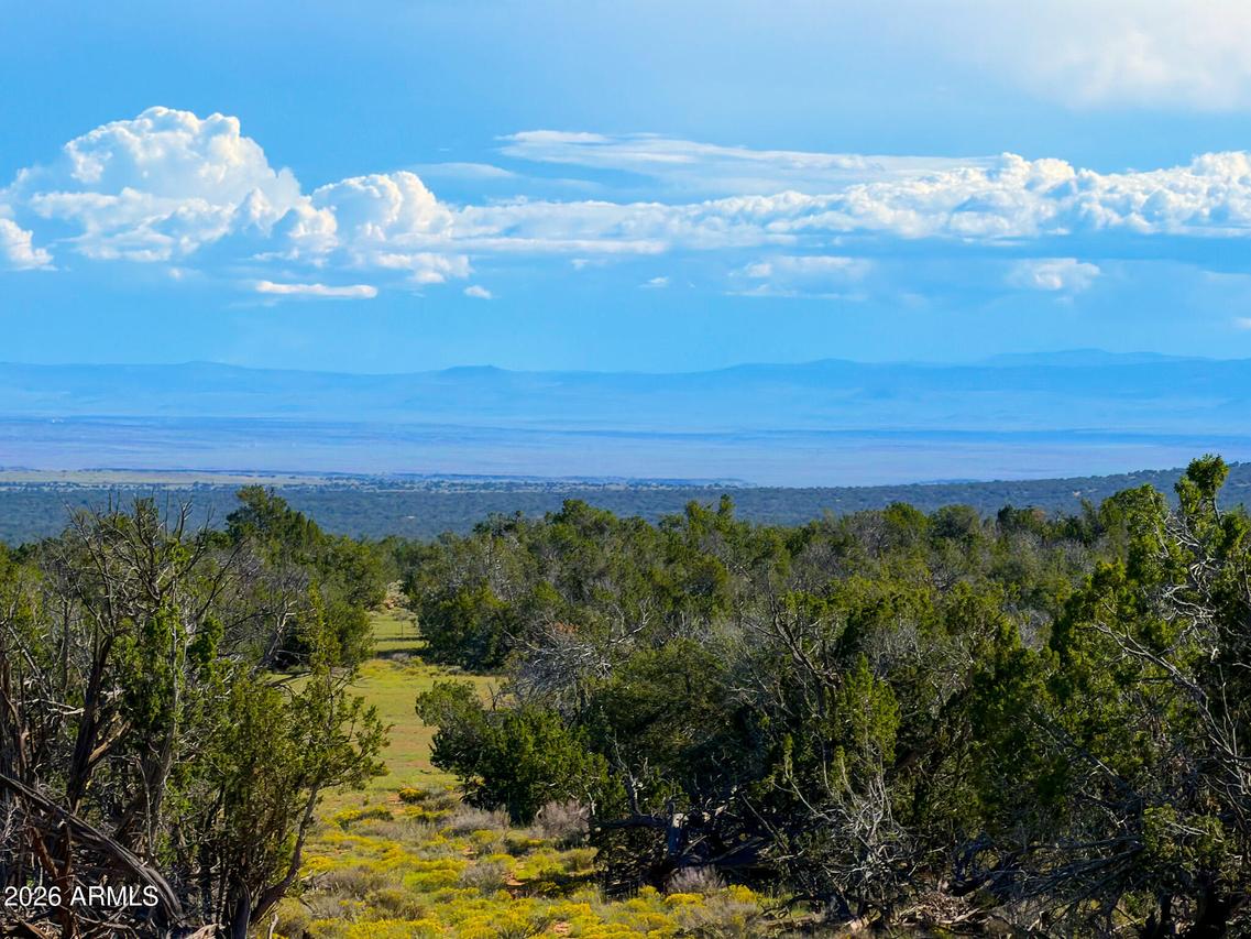 TBD Co Rd N7480 40 Acres #-, St Johns, AZ 85936
