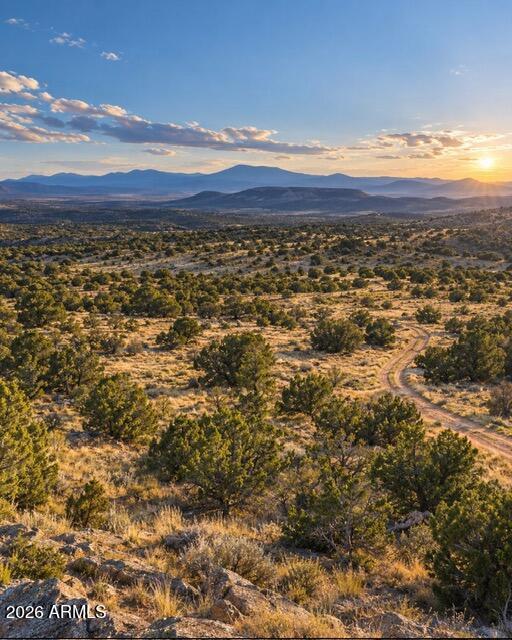N Relax Rd. #494, Seligman, AZ 86337