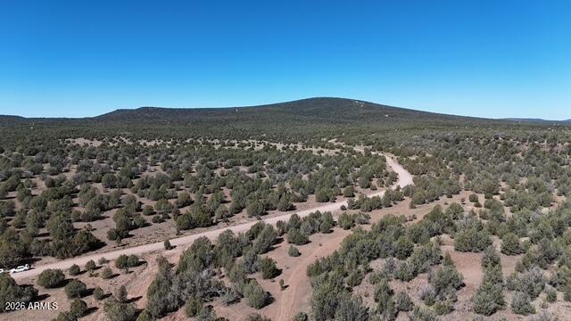 N Relax Rd. #494, Seligman, AZ 86337