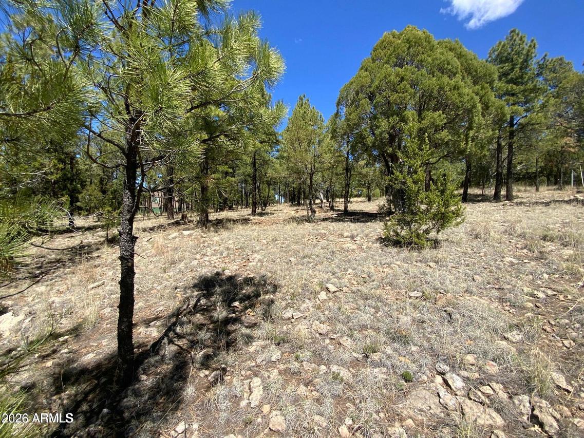 4199 Starlight Dr. #613, Happy Jack, AZ 86024